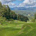 Sulawesi-Batutumonga-WWW_02