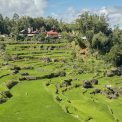 Sulawesi-Batutumonga-WWW_06