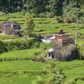 Sulawesi-Batutumonga-WWW_07