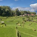 Sulawesi-Batutumonga-WWW_08