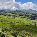 Sulawesi-Batutumonga-WWW_13