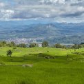 Sulawesi-Batutumonga-WWW_14