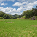 Sulawesi-Rantepao-Lemo-WWW_04