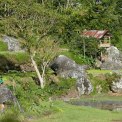 Sulawesi-Tikale-WWW_01