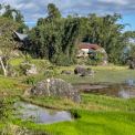 Sulawesi-Tikale-WWW_03