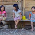 Sulawesi-Tikale-WWW_04