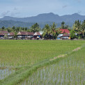 Sulawesi-Barru-WWW_02