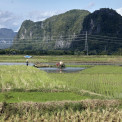 Sulawesi-Barru-WWW_05