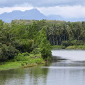 Sulawesi-Barru-WWW_08