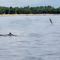 Sulawesi-Bunaken-Marine-Nationalpark-WWW_01