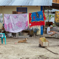 Sulawesi-Insel-Siladen-WWW_09