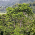 Sulawesi-Pare-Pare-WWW_03