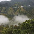 sulawesi-bampapuang-www_01