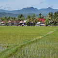 sulawesi-barru-www_02