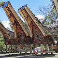 sulawesi-palawa-www_01