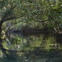 Taubergiessen-WWW_13