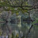 Taubergiessen-WWW_14