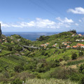 madeira-cruz-da-guarda-www_01