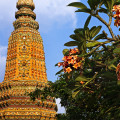 bangkok-wat-pho-www_05