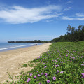 khao-lak-khuk-khak-beach-www_01