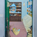 Madeira-Funchal-RSM-118-Rui-Soares-WWW