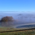 Rheinland-Pfalz-Westerwald-Guellesheim-WWW_01