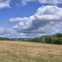 Rheinland-Pfalz-Westerwald-Guellesheim-WWW_02