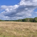 Rheinland-Pfalz-Westerwald-Guellesheim-WWW_03