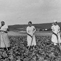 Rheinland-Pfalz-Westerwald-Horhausen-SWWW_01