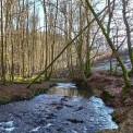 Rheinland-Pfalz-Westerwald-Oberlahr-Grenzbach-WWW_02