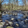 Rheinland-Pfalz-Westerwald-Seck-Holzbachschlucht-WWW_01