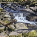 Rheinland-Pfalz-Westerwald-Seck-Holzbachschlucht-WWW_05