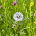 Rheinland-Pfalz-Westerwald-Urbach-WWW_02