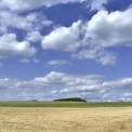 Rheinland-Pfalz-Westerwald-Waldbreitbach-WWW_01