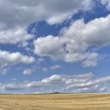 Rheinland-Pfalz-Westerwald-Waldbreitbach-WWW_02