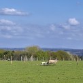 Rheinland-Pfalz-Westerwald-Ziegenhain-WWW_02