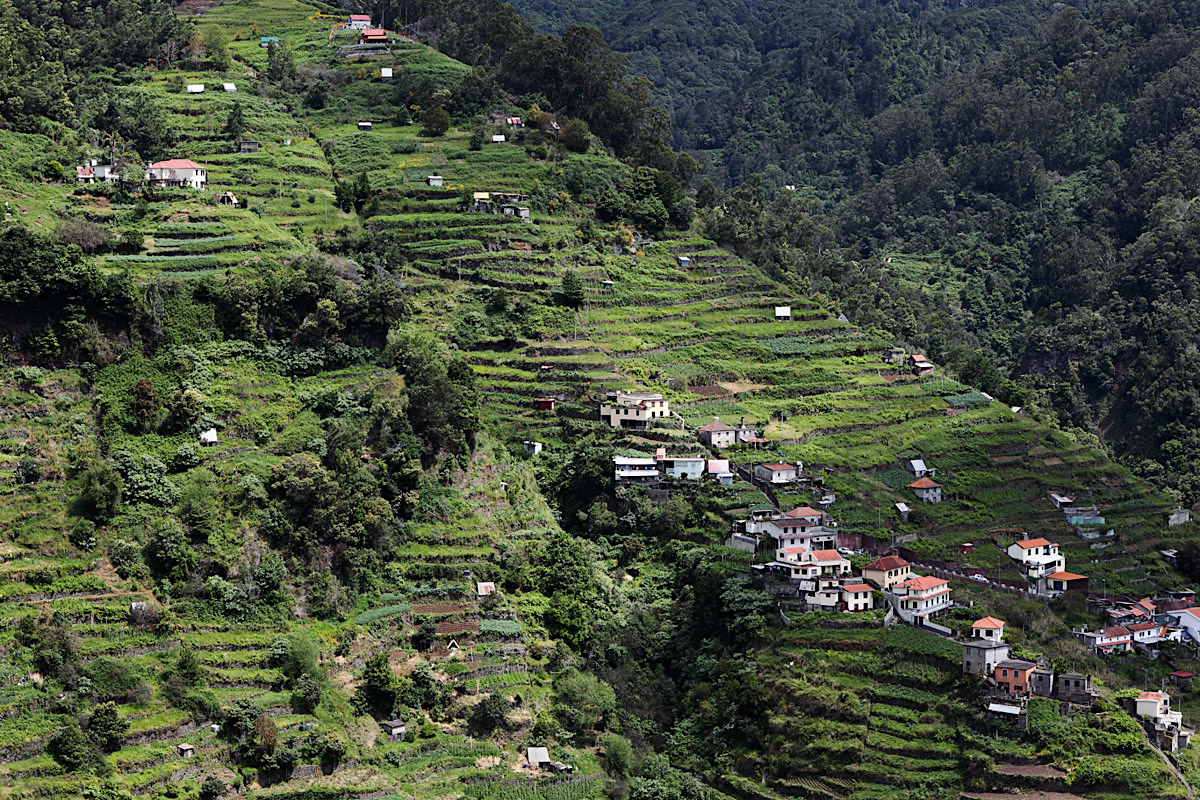 MADEIRA – EIN GRÜNES JUWEL IM ATLANTIK