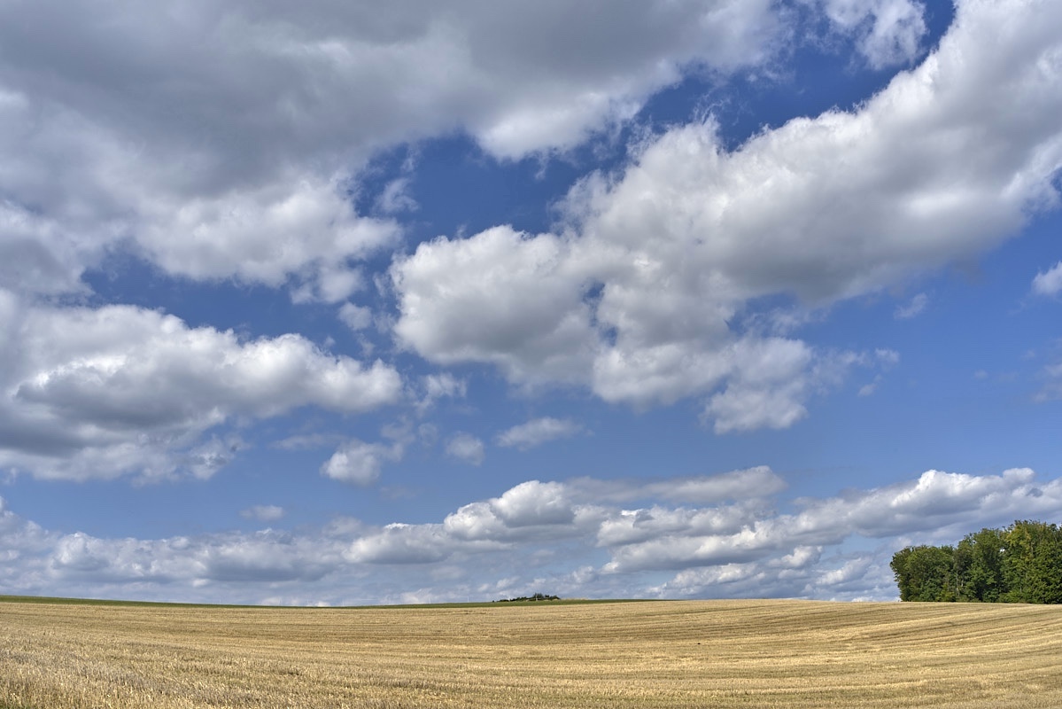 Der schöne Westerwald und der Naturpark Rhein-Westerwald